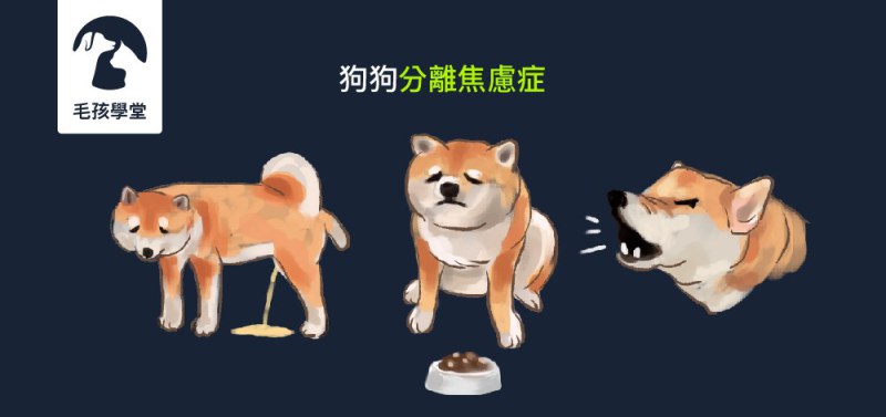 狗狗分離焦慮症？讓寵物訓練師教你如何釐清及處理